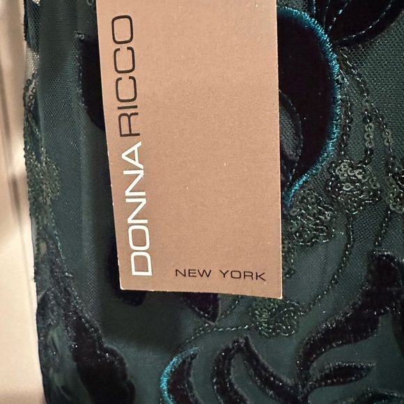 Elegant Green Velvet Dress - Picture 4 of 4